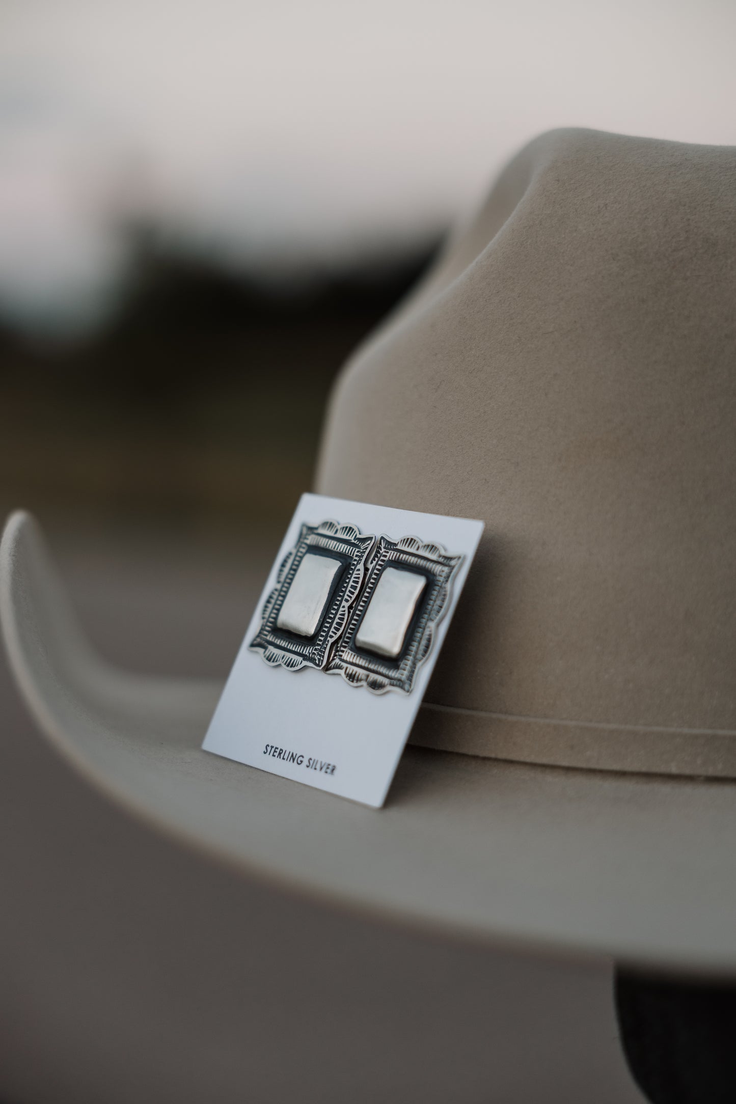 The Silver Spur Earrings