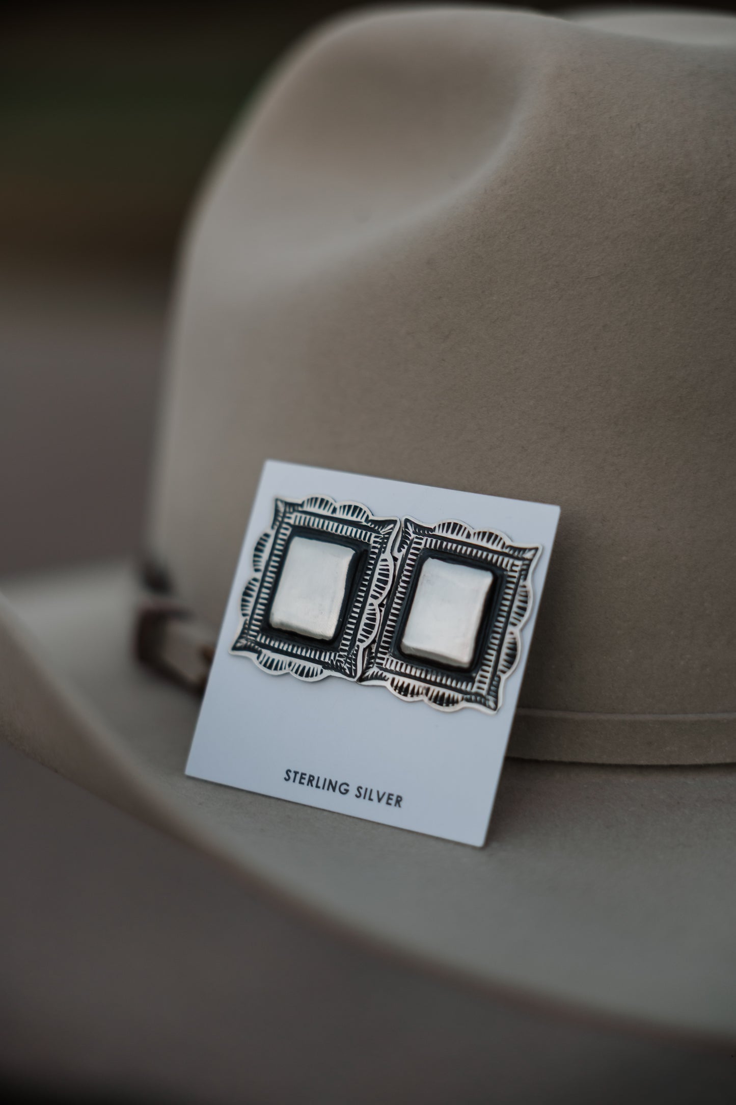 The Silver Spur Earrings