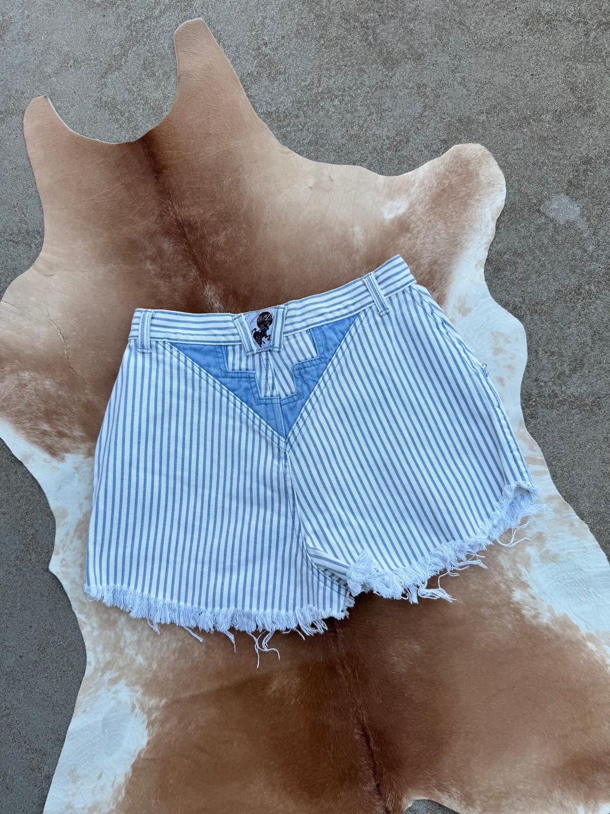 26” Blaze Striped Shorts